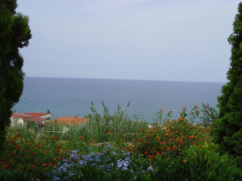Case Vacanze Con Piscina Altavilla Milicia Exterior photo